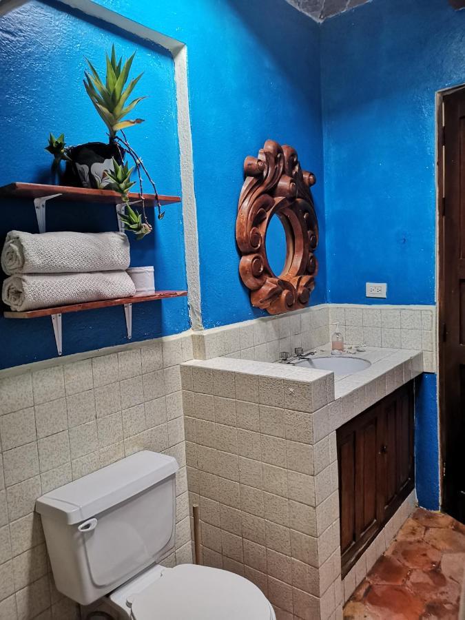La Casa Del Abuelo Hostel ซานมิเกล เด อาเญนเด ภายนอก รูปภาพ