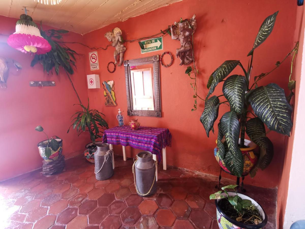 La Casa Del Abuelo Hostel ซานมิเกล เด อาเญนเด ภายนอก รูปภาพ