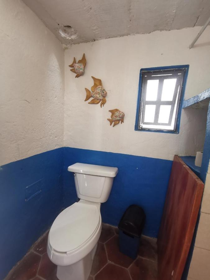 La Casa Del Abuelo Hostel ซานมิเกล เด อาเญนเด ภายนอก รูปภาพ