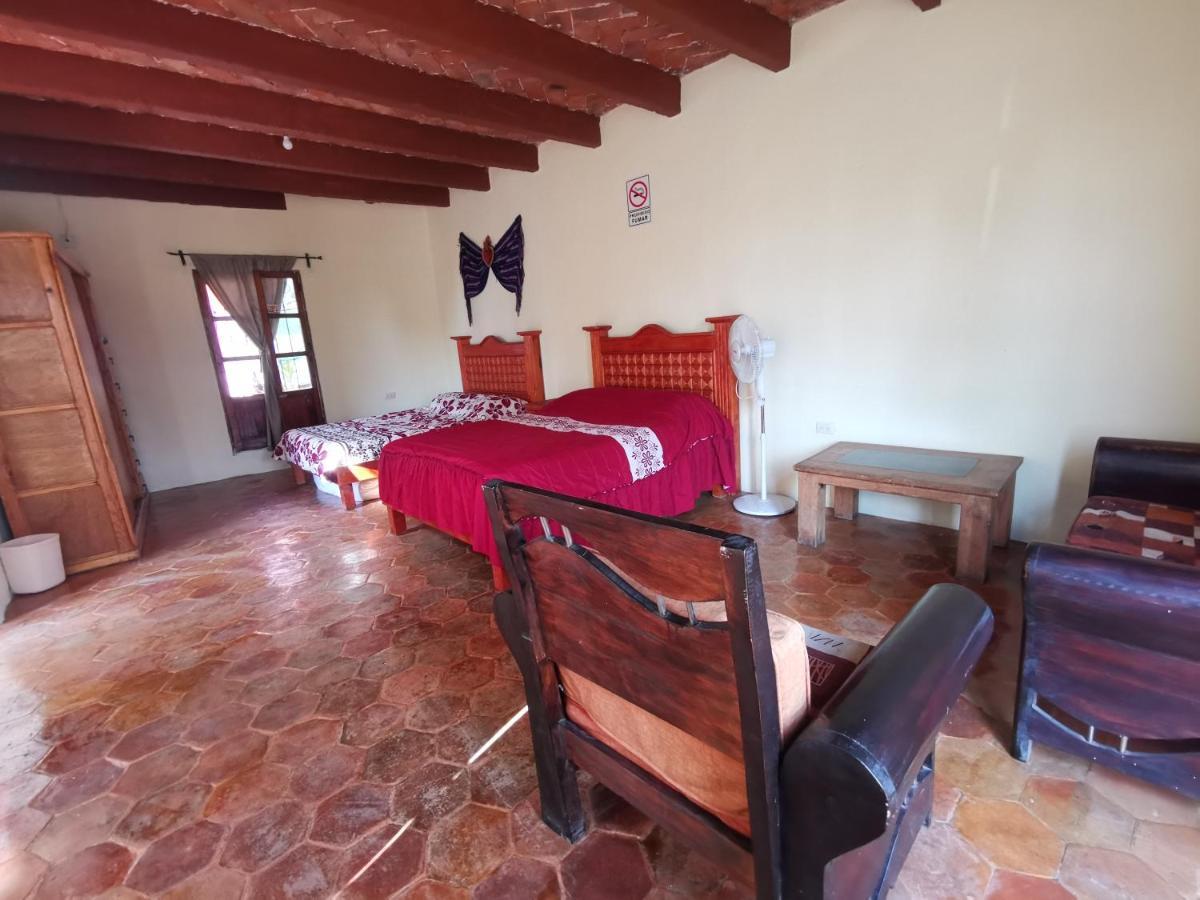 La Casa Del Abuelo Hostel ซานมิเกล เด อาเญนเด ภายนอก รูปภาพ