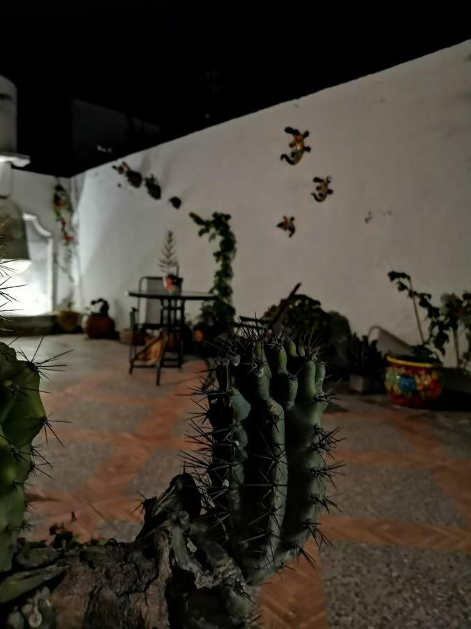 La Casa Del Abuelo Hostel ซานมิเกล เด อาเญนเด ภายนอก รูปภาพ